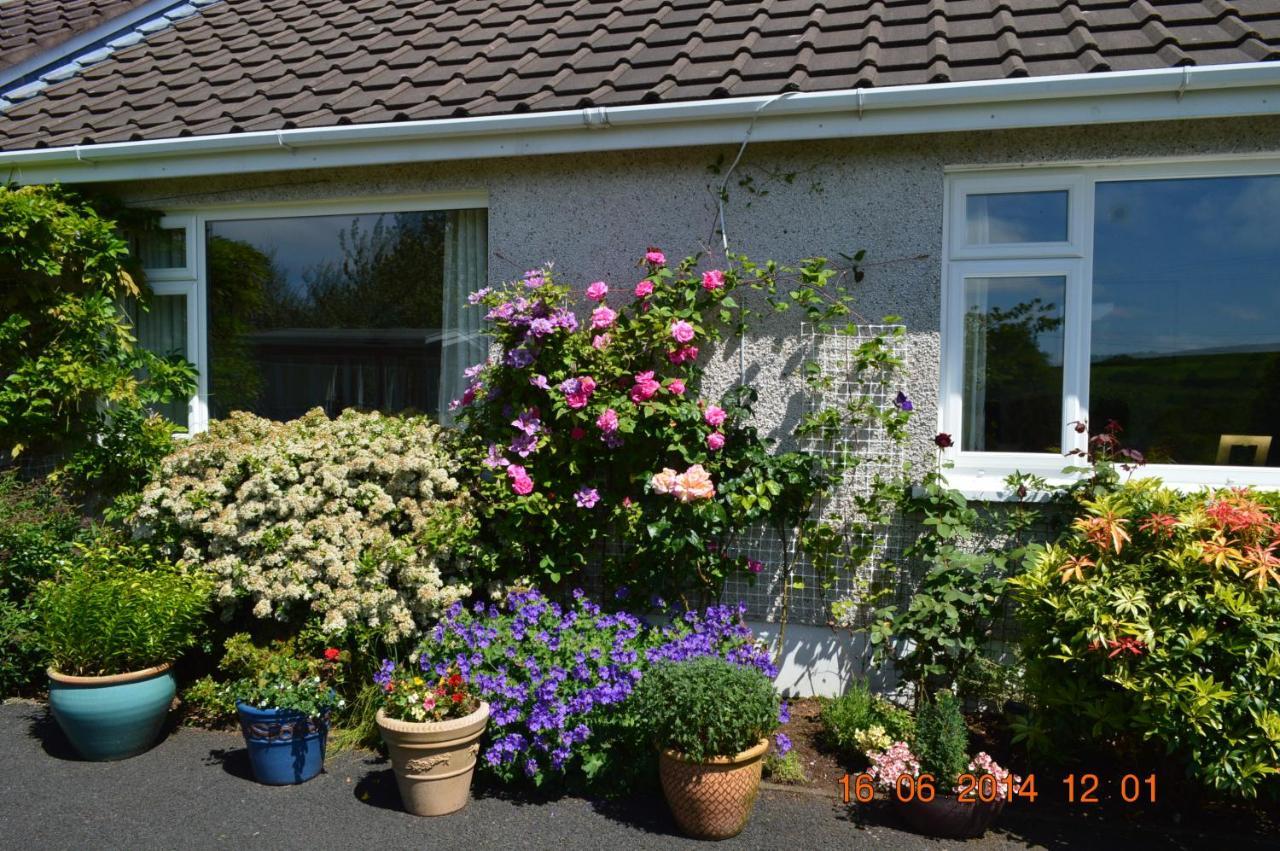 Meadow View B&B Ballymena Esterno foto