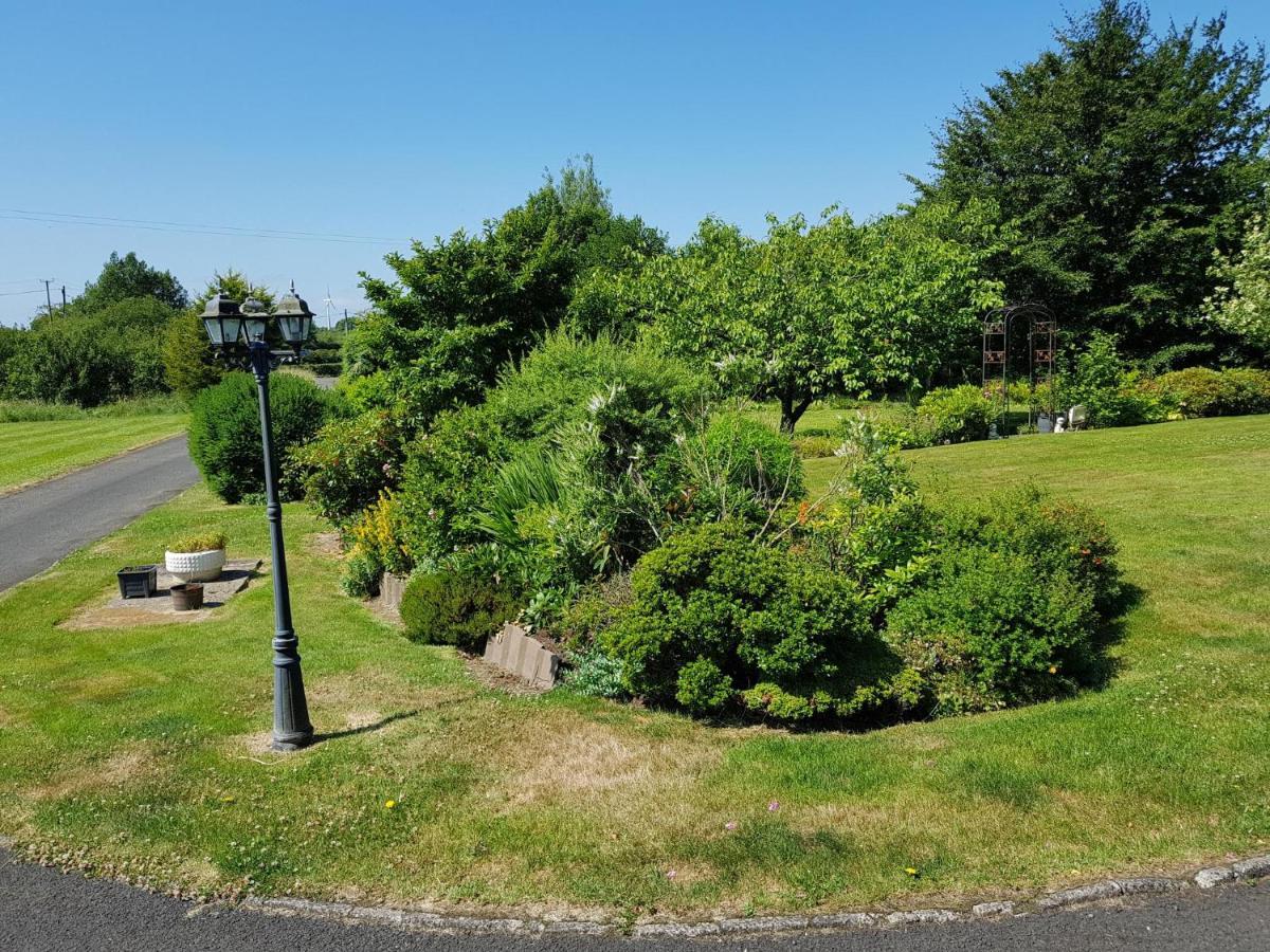 Meadow View B&B Ballymena Esterno foto
