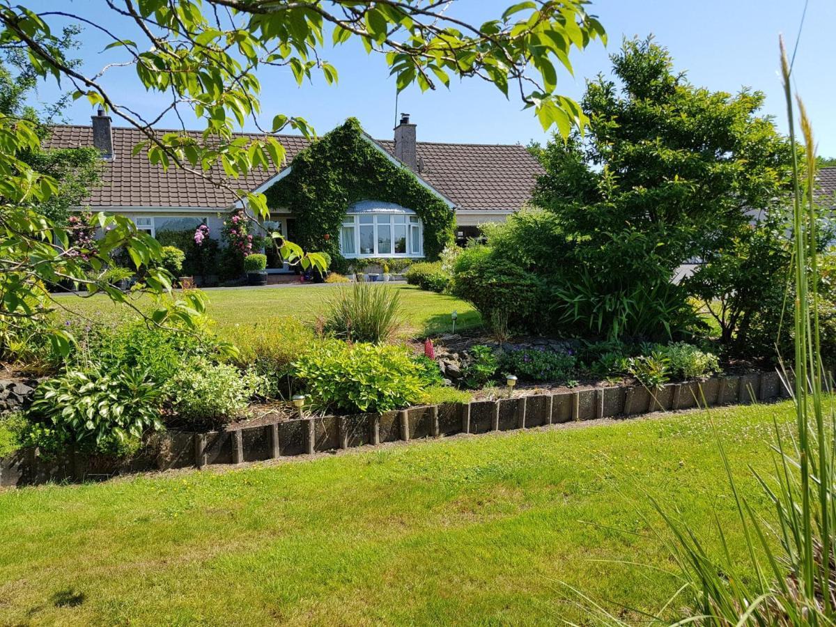 Meadow View B&B Ballymena Esterno foto