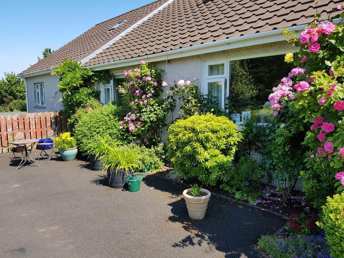 Meadow View B&B Ballymena Esterno foto