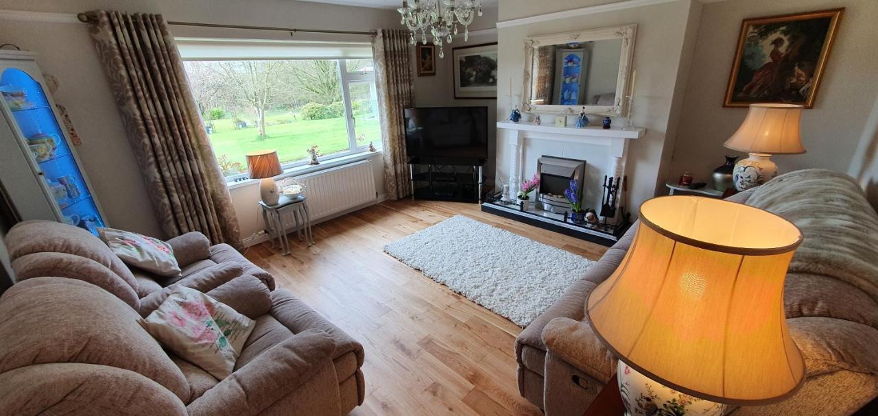 Meadow View B&B Ballymena Esterno foto